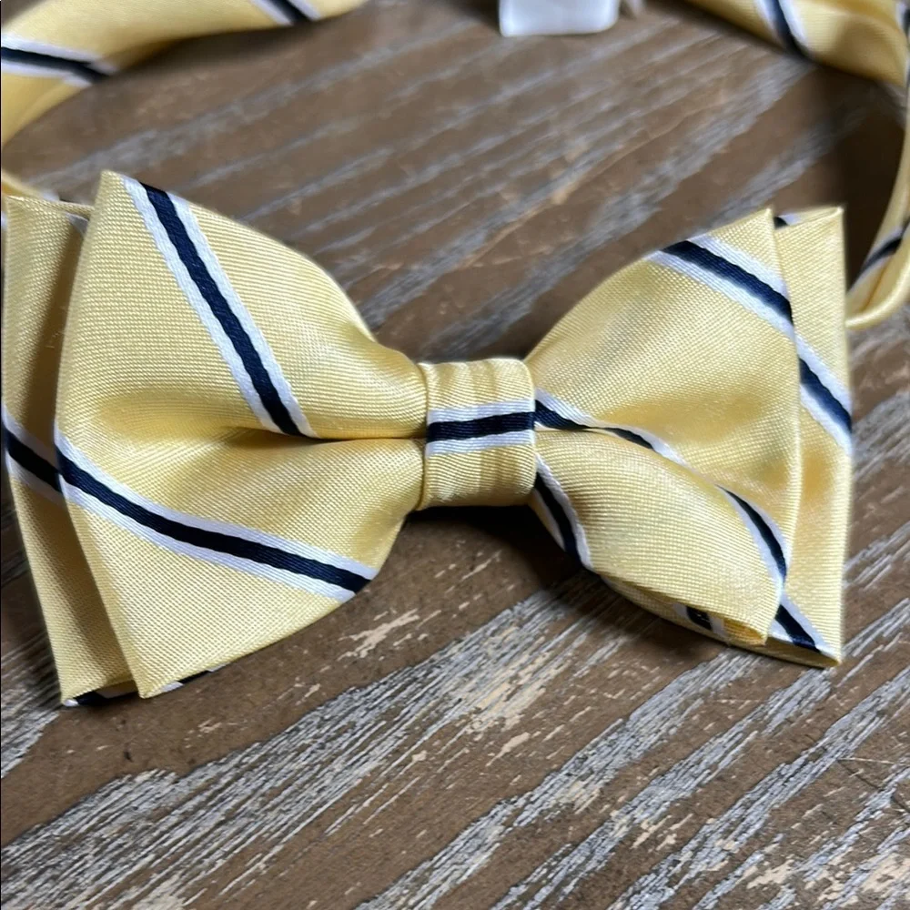 The Children’s Place Boys Yellow Bow Tie with Blue & White Stripes